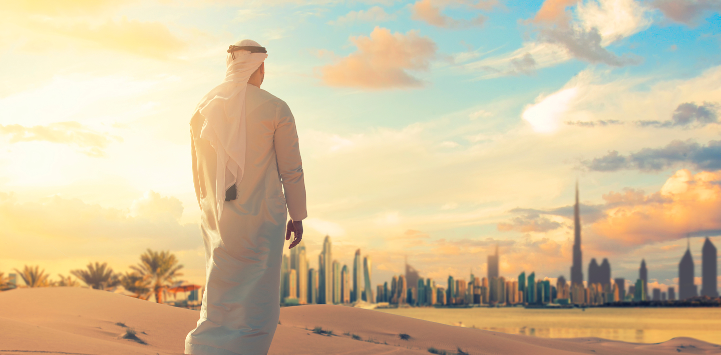 UAE Hospitals and Laboratories Market Landscape Assessment